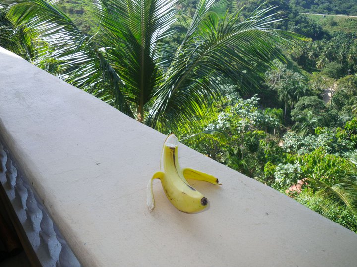 A Very Lazy Banana